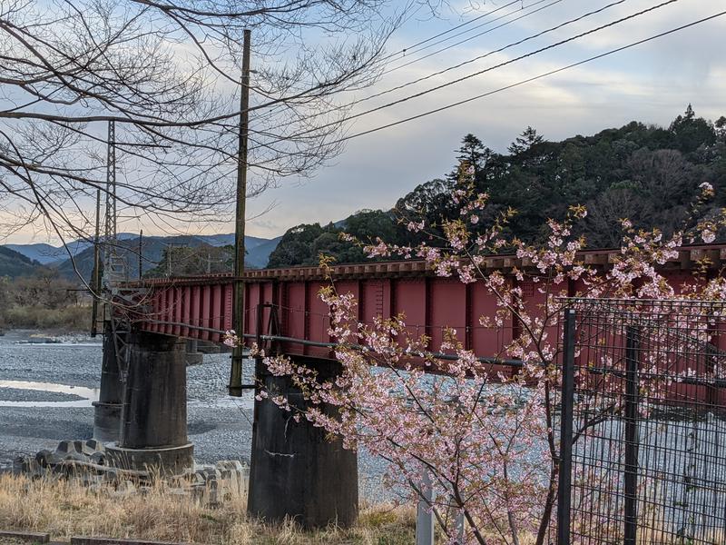 なっつるこさんの川根温泉ふれあいの泉のサ活写真