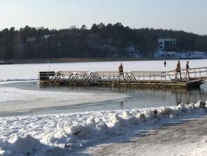 Turku's Winter Outdoor Swimmers Club 写真