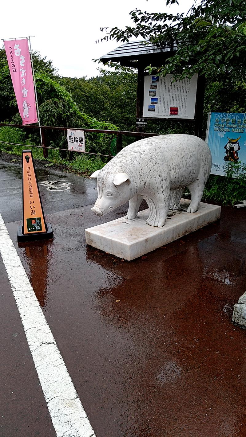 mitsuさんのおおがわら天然温泉 いい湯のサ活写真