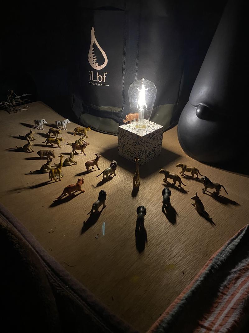 ニコルさんのツカノマノスゴイサウナ by SAUNA SUGOI SAITAMAのサ活写真