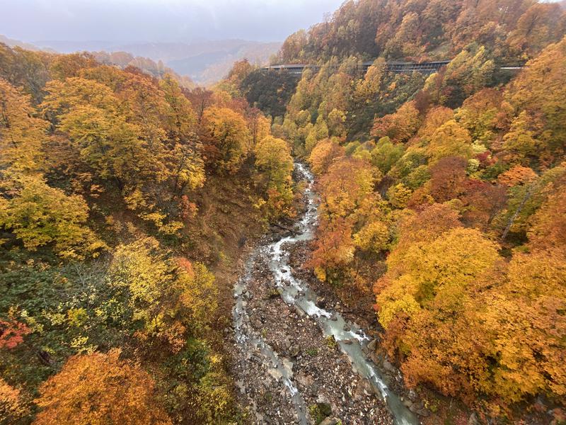 蒸し豚さんの新玉川温泉のサ活写真