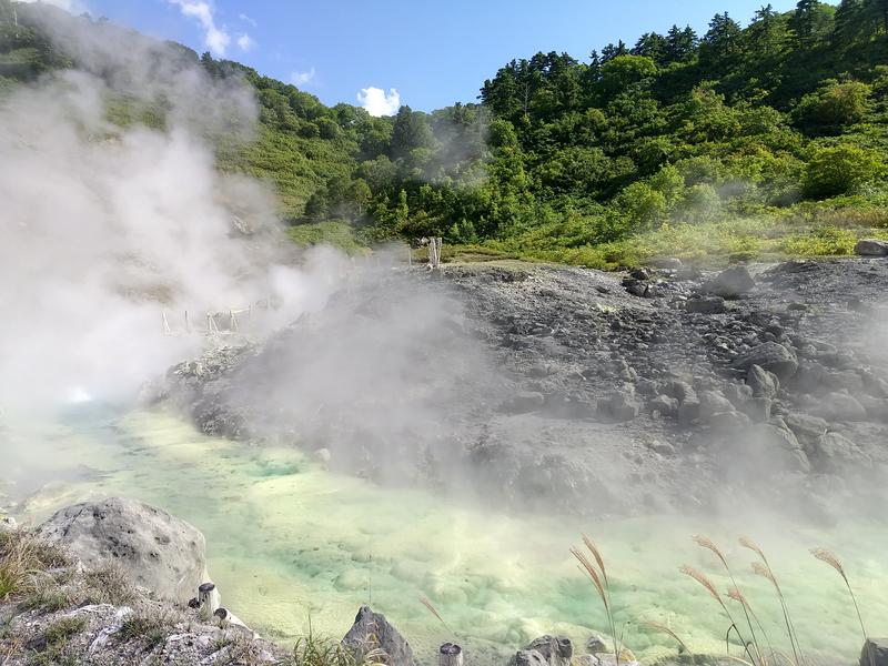 よめぞうさんの新玉川温泉のサ活写真