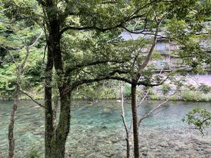 おちあいろう 伊豆市 のサ活 サウナ記録 口コミ感想 一覧1ページ目 サウナイキタイ