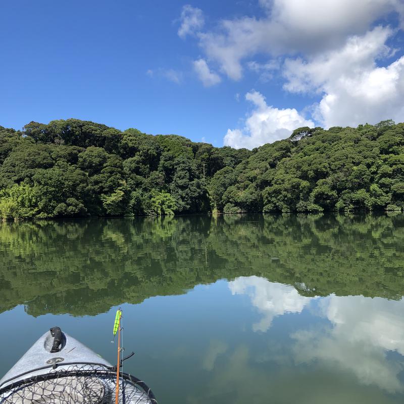 リーさんの千宝の湯のサ活写真