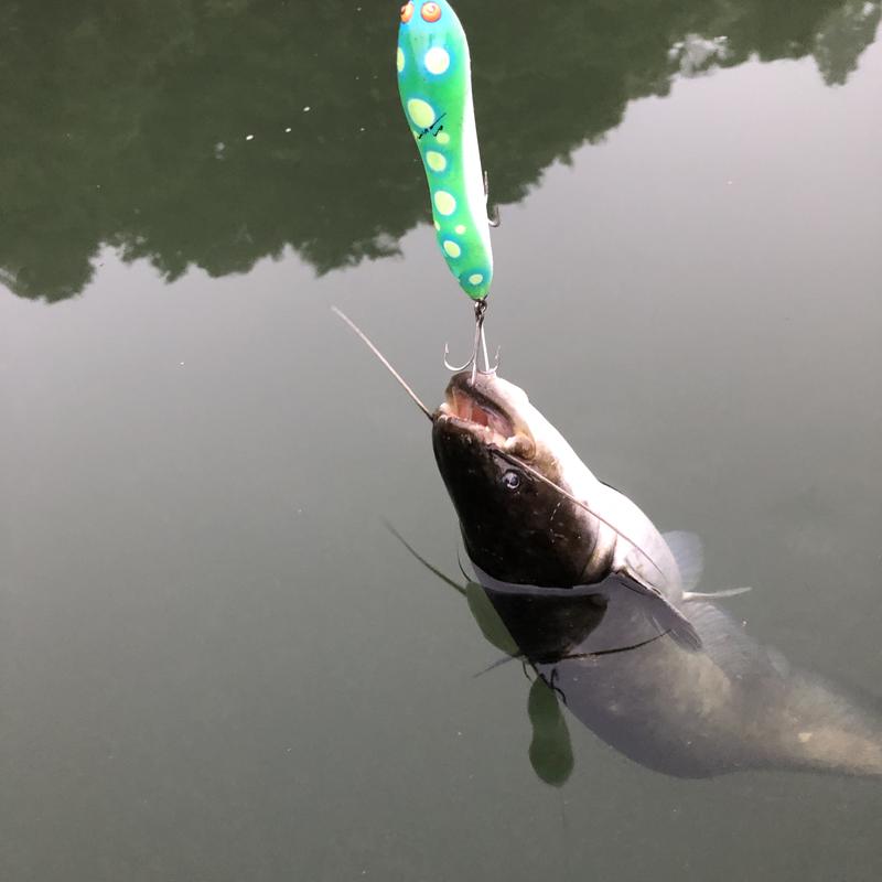 リーさんの千宝の湯のサ活写真