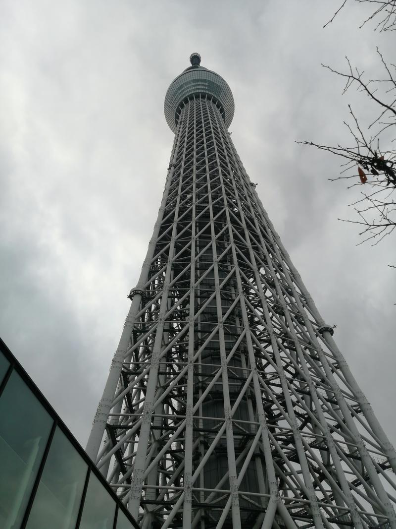 サウナ金融さんのサ道 SKYTREE SAUNA(スカイツリーサウナ)のサ活写真