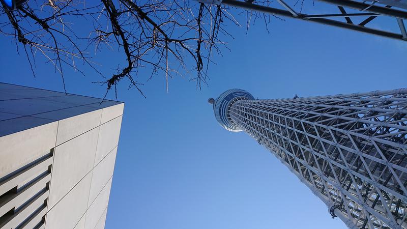 蒸しほっかむりさんのサ道 SKYTREE SAUNA(スカイツリーサウナ)のサ活写真