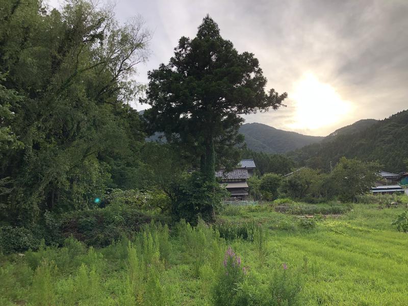 つむぐさんの多宝温泉 だいろの湯のサ活写真