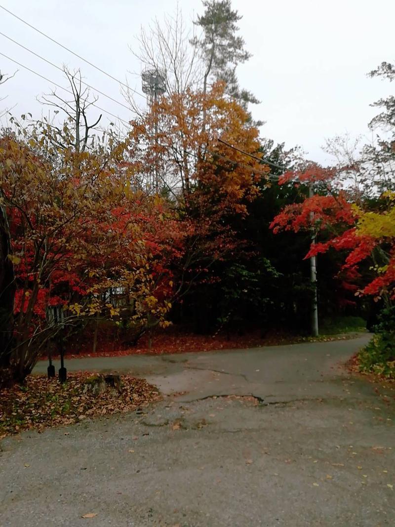 わや（わやぺちーの）さんの丸美ケ丘温泉ホテルのサ活写真