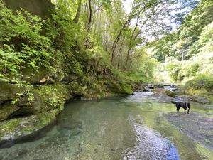 kanrano sauna 写真
