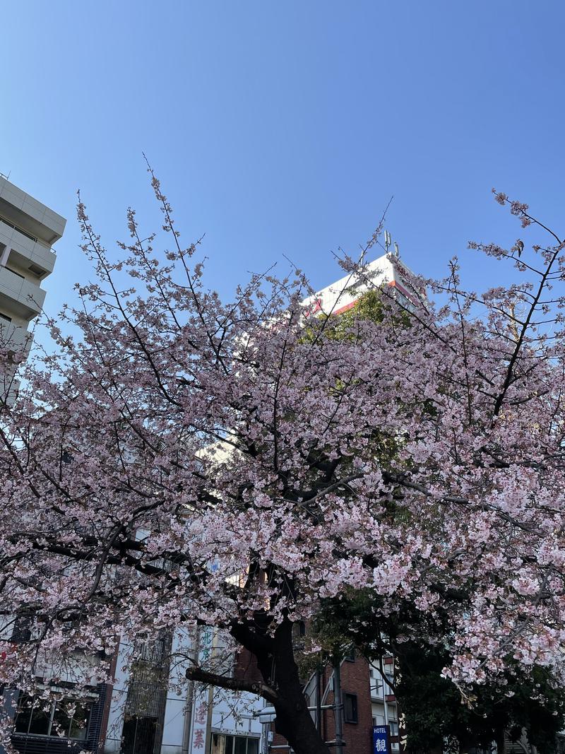 ささりさんのSmart Stay SHIZUKU 上野駅前のサ活写真