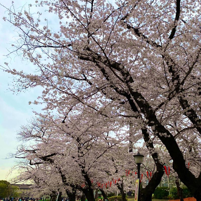 YOSHIさんのSmart Stay SHIZUKU 上野駅前のサ活写真