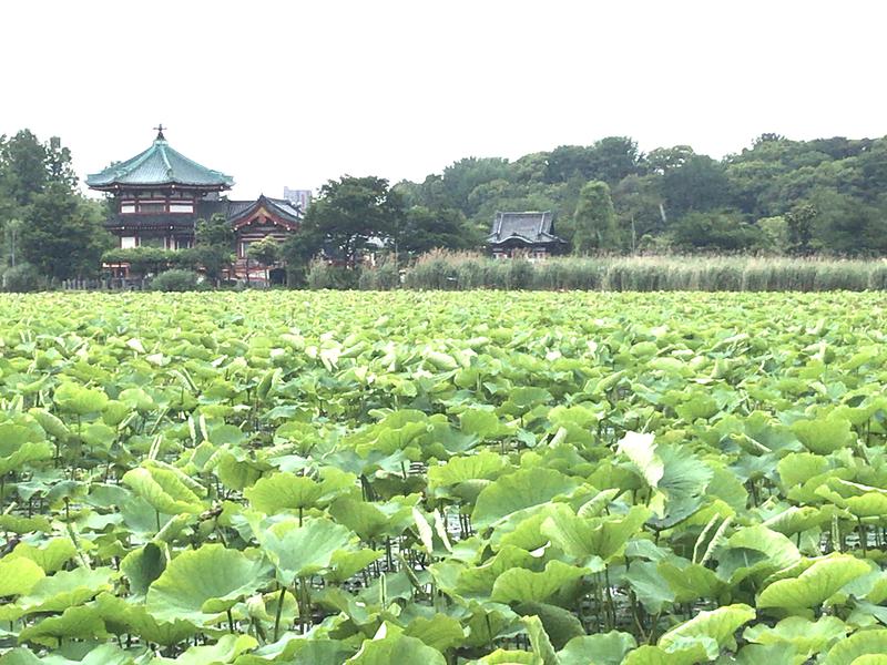 くらこんさんのSmart Stay SHIZUKU 上野駅前のサ活写真