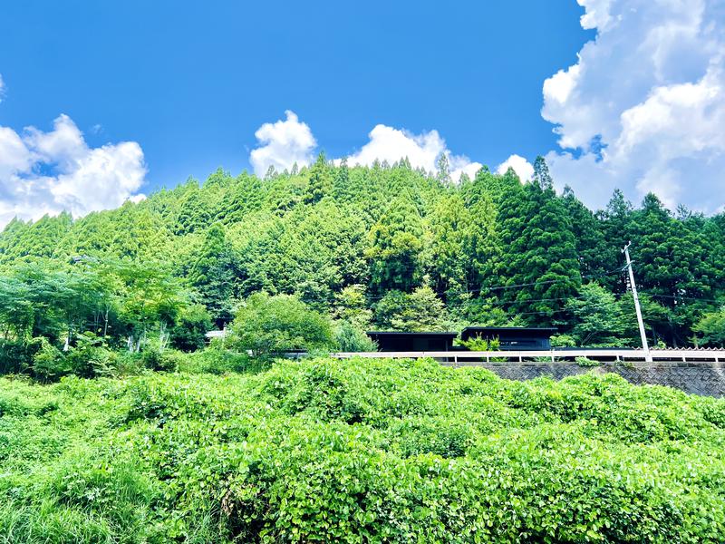 郡上那比川野営場(仮称) 外気浴から見える郡上の風景