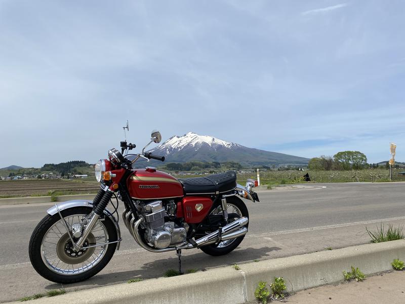 かめさんの桜温泉のサ活写真