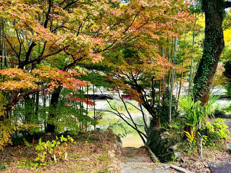 洋々庵 川への階段