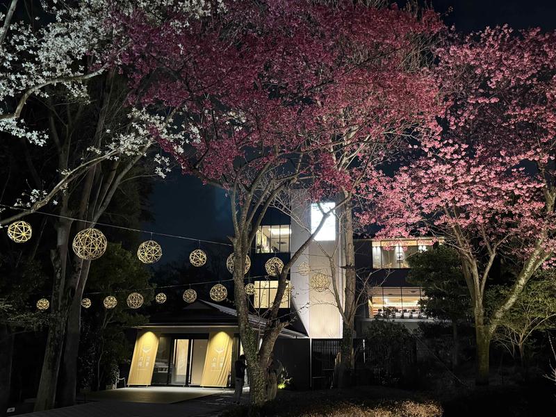 よみうりランド眺望温泉 花景の湯 夜桜