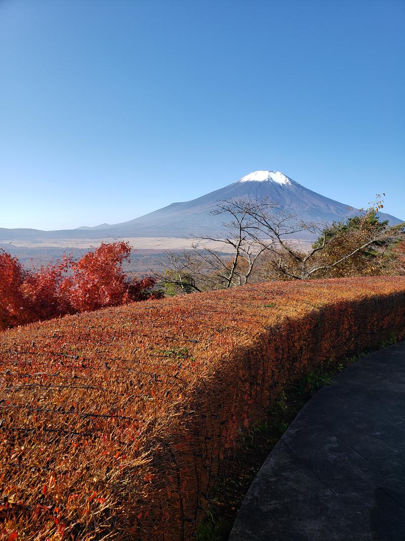 サウナっていーね。さんのホテルマウント富士のサ活写真