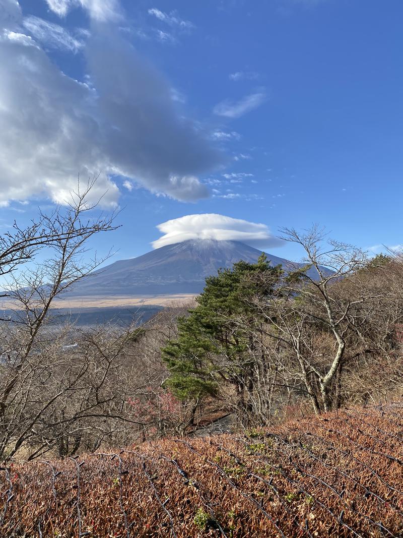 Calicoさんのホテルマウント富士のサ活写真