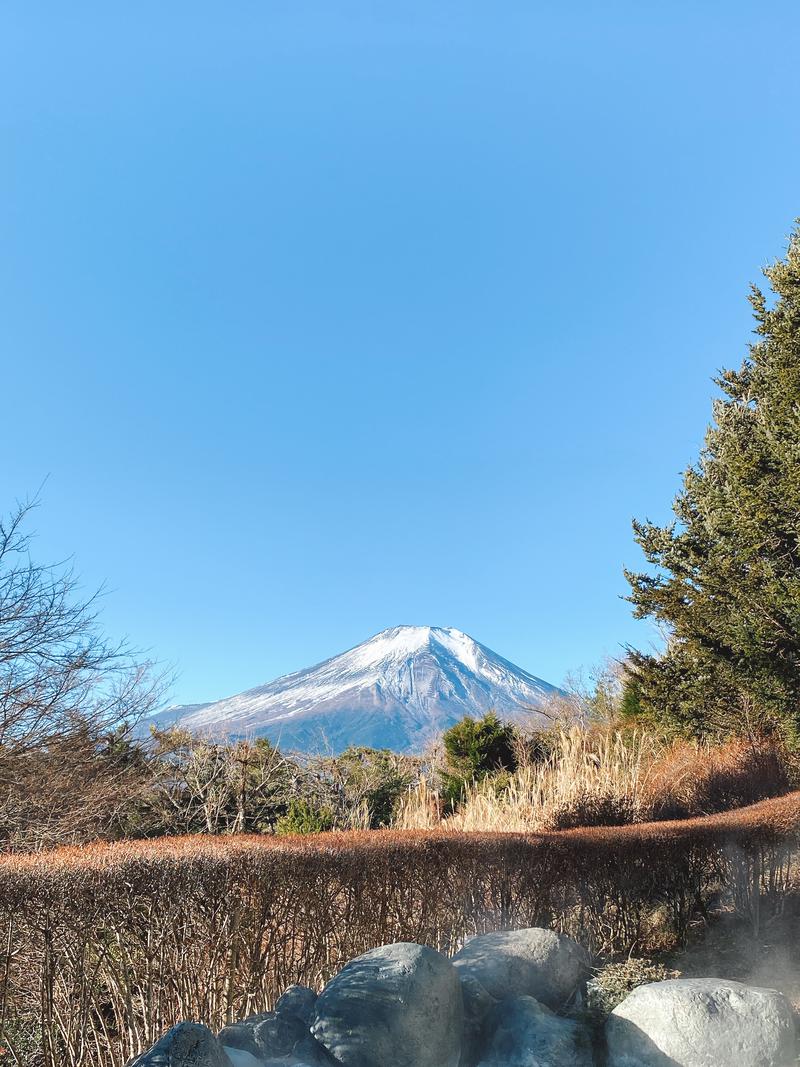 シースー前は100%サウナーさんのホテルマウント富士のサ活写真