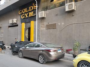 Gold's Gym Pyramids 写真