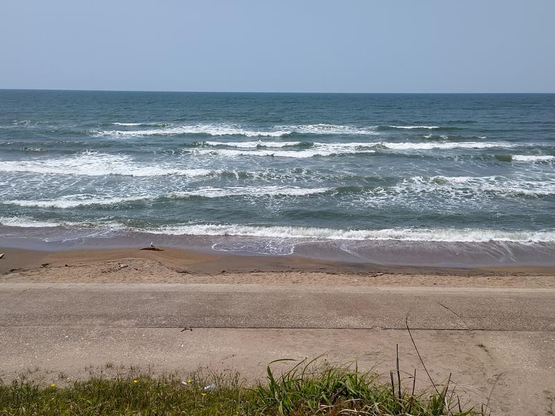 デトサウナ 日本海