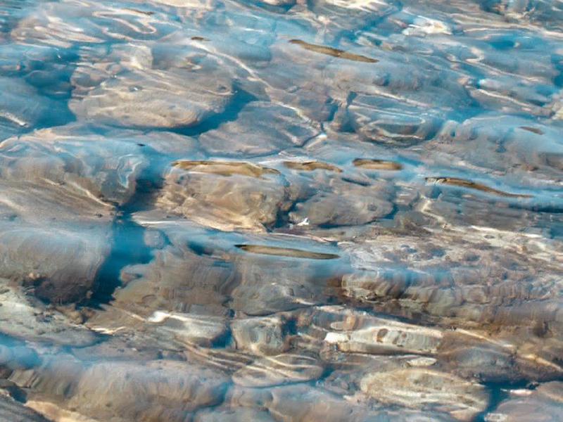 RIVER GREEN(リバーグリーン) 多摩川上流域のため水質は上々