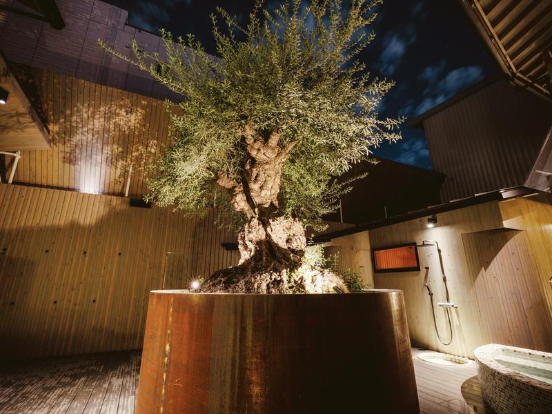 sauna kolme kylä (サウナ コルメ キュラ) シンボルツリー