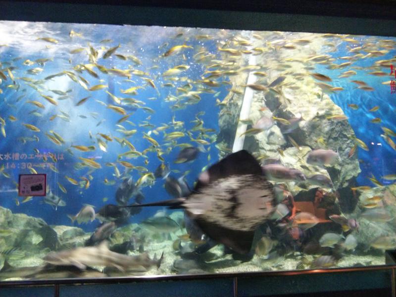 日々のサウナさんの衣浦衛生組合 サン・ビレッジ衣浦のサ活写真