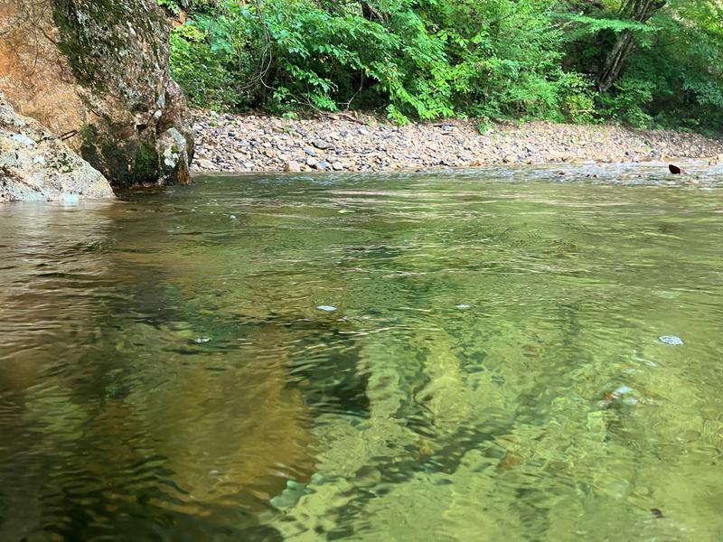 棚倉町 山本キャンプ場 水風呂