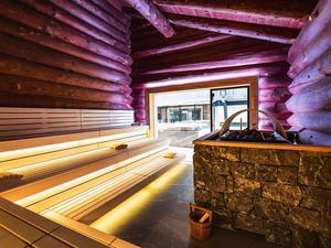 Wellness Hotel Alpenhof, Zermatt 写真