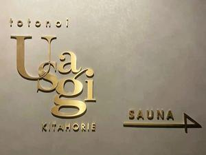 sauna&environ totonoi USAGI 写真