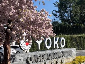 YOKO ONSEN QUANG HANH 写真