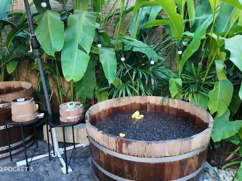 ICE HOUSE by Bangkok Ice Baths - Ice Bath and Sauna Tropical Garden 写真