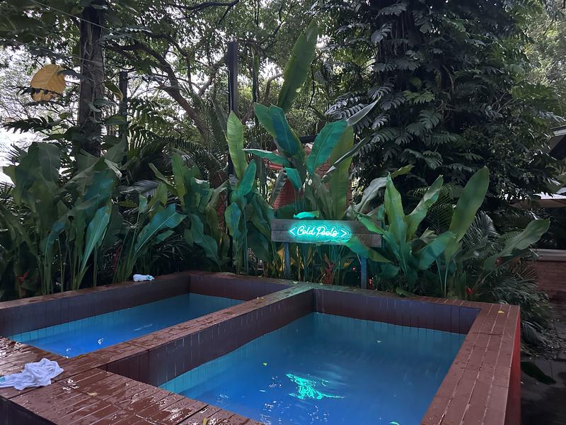 Dip Garden Onsen and Ice Bath - Ari 水風呂