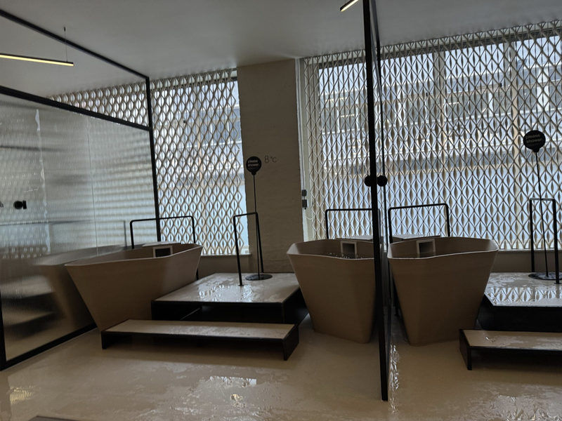 Sauna & Plunge サウナ