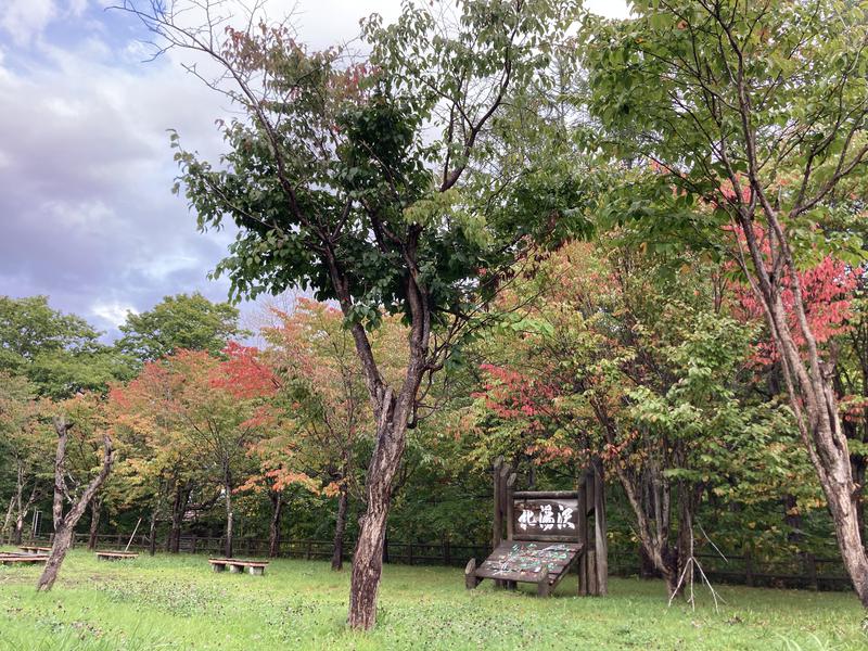 北のフロラーさんの北湯沢温泉郷 湯元ホロホロ山荘のサ活写真