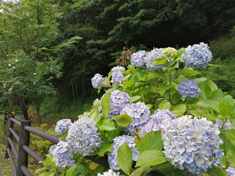 テレクちゃんさんの榊原自然の森 温泉保養館 湯の瀬(旧)のサ活写真