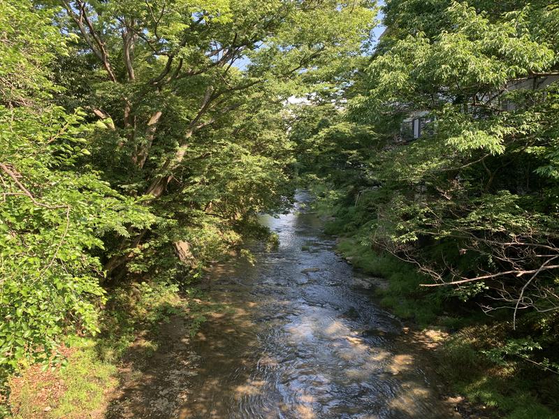 たっつん♨️😚さんの榊原自然の森 温泉保養館 湯の瀬(旧)のサ活写真