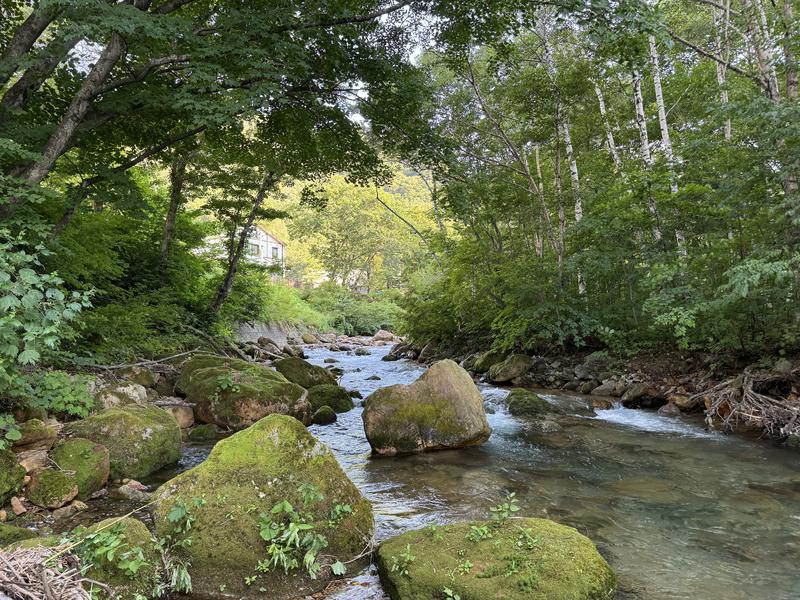 theKinta苗場『theさうな』 天然水風呂（8℃）