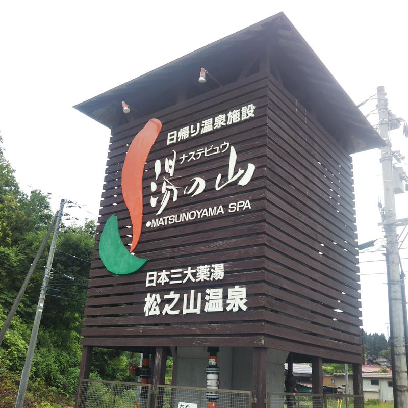 自由人さんのナステビュウ湯の山のサ活写真