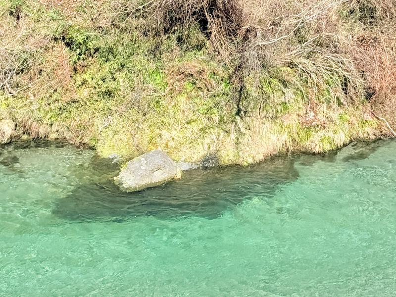 WASAUNA(ワサウナ) サウナのすぐ前に流れる武儀川