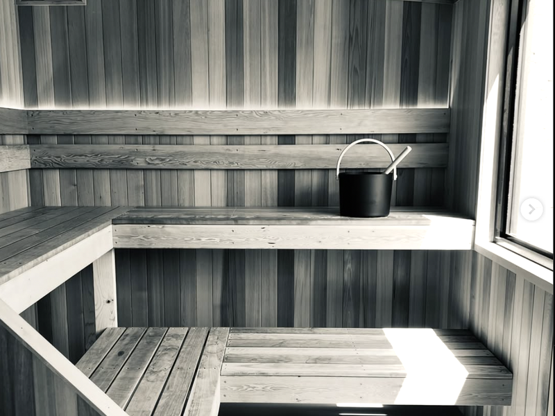 Sauna Goose サウナ室