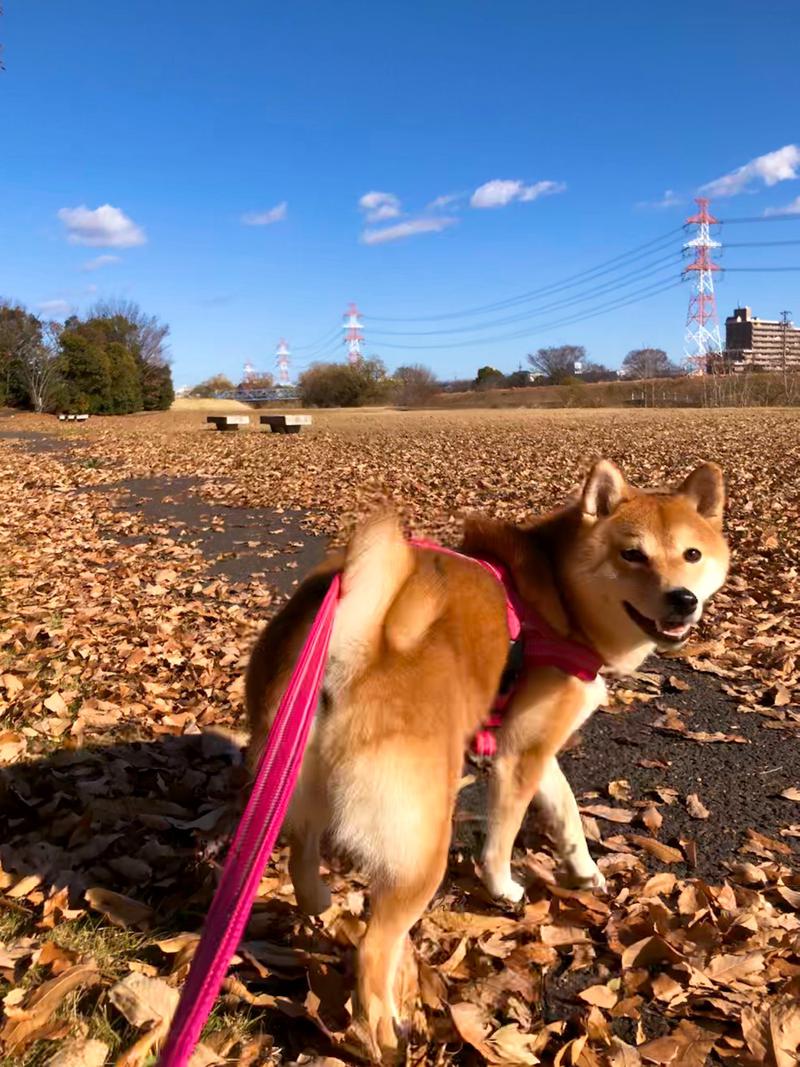 ほっちゃんさんのサウナ&カプセルホテル 北欧のサ活写真