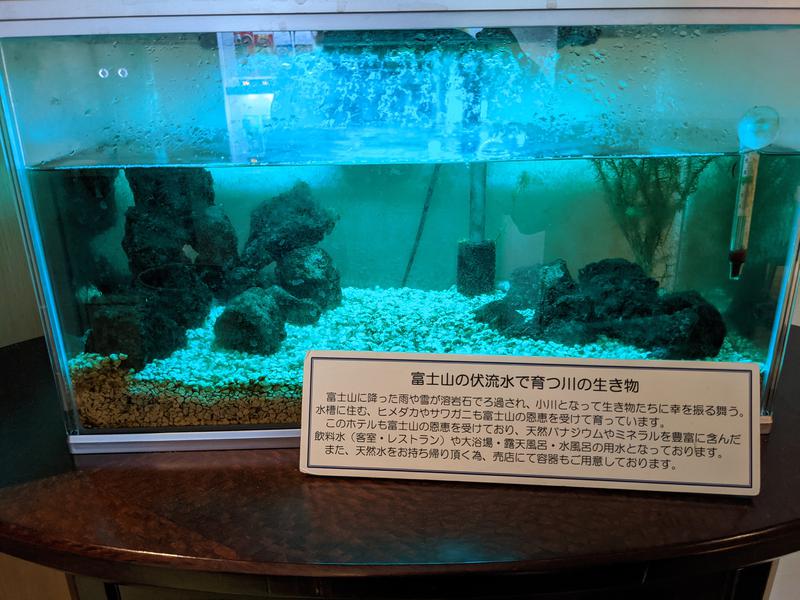 なっつるこさんのレンブラントスタイル御殿場駒門  富士の心湯のサ活写真