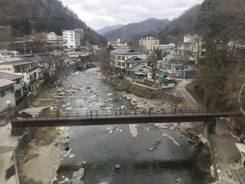 こせこしぱぱさんの大江戸温泉物語 ホテルニュー塩原のサ活写真