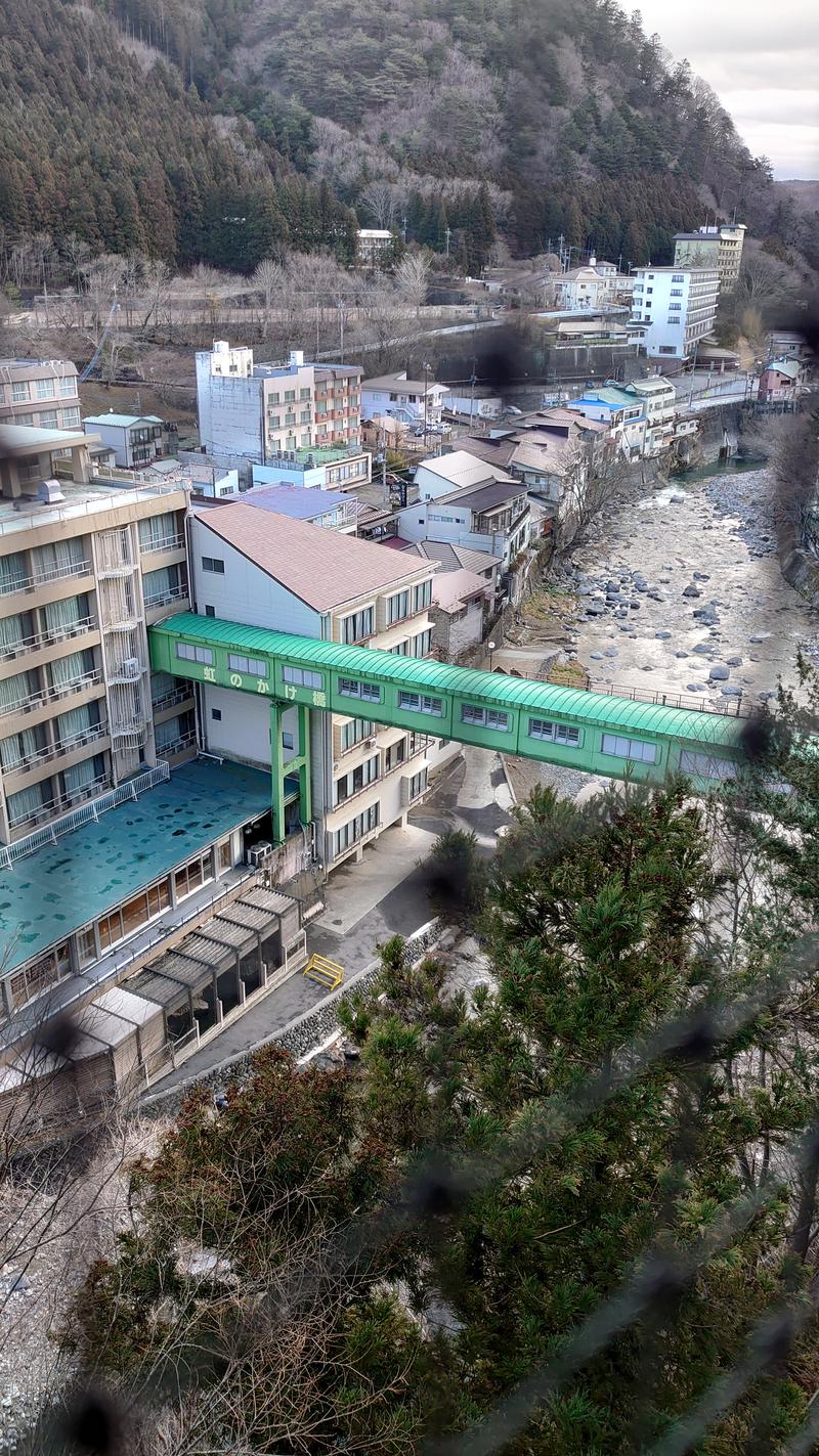 蒸シーヌさんの大江戸温泉物語 ホテルニュー塩原のサ活写真