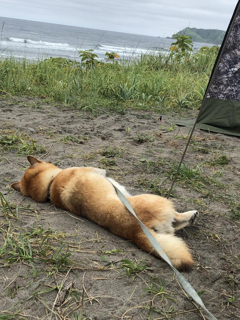 tonappy🦌さんの道営野塚野営場のサ活写真