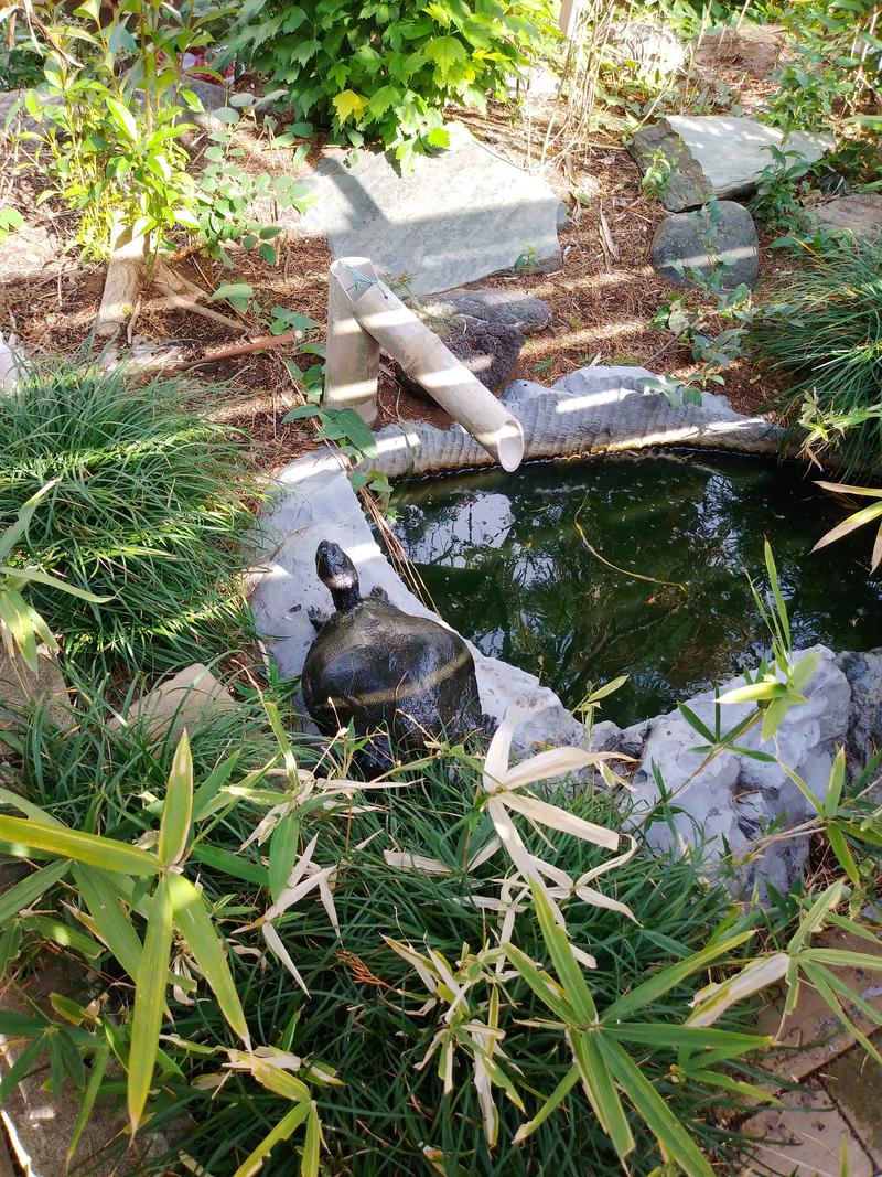 ミケマロさんのSAUNA GARDEN 錦糸町のサ活写真