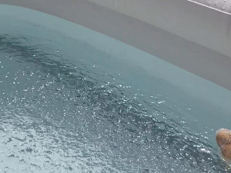 SAUNA&YOGA ゆな青ベース 水は地下水